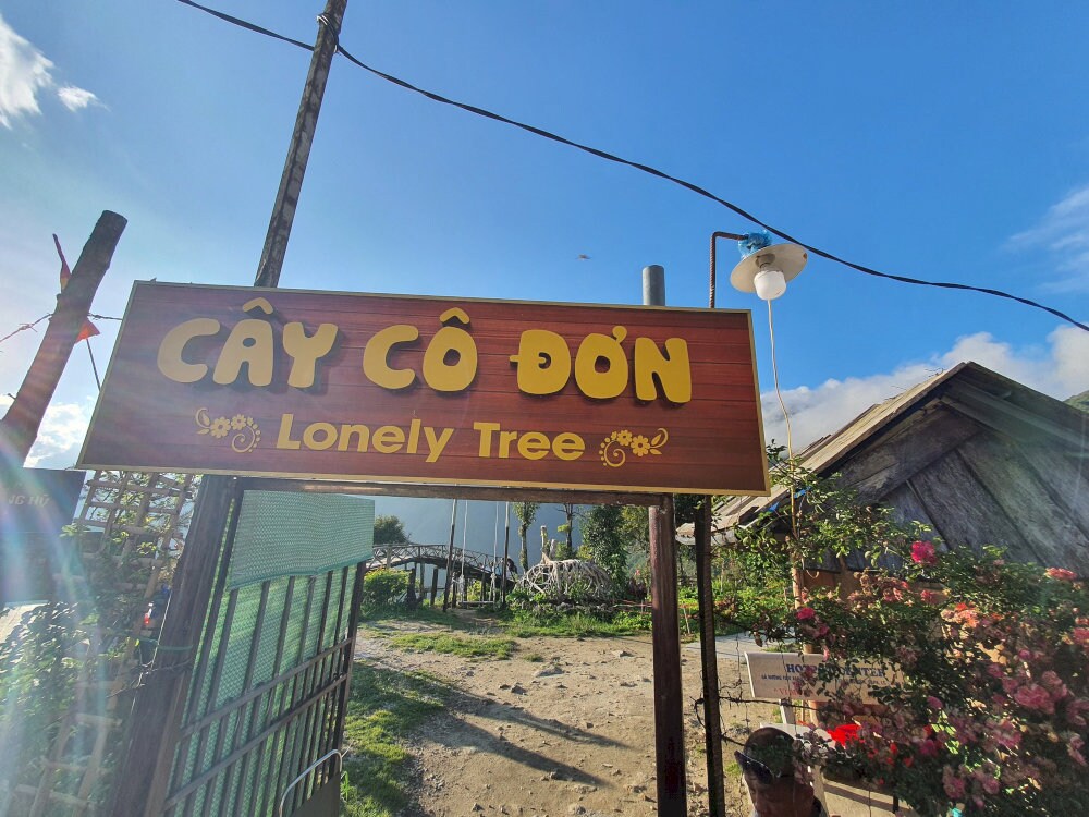 Travelers with a love for distinctive check-in spots won’t want to miss the iconic Lonely Tree